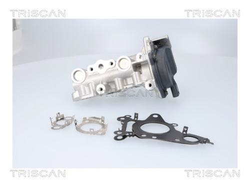 Egr valve triscan - valve,