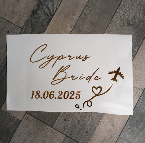 Wedding dress storage travel - storage,