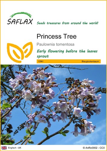 Saflax princess tree 200 - -,