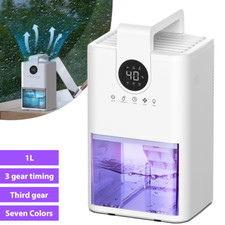 1L Electric Dehumidifier