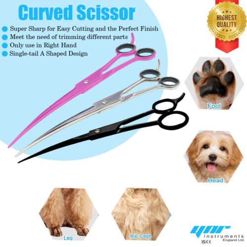 Professional pet dog cat - professional,