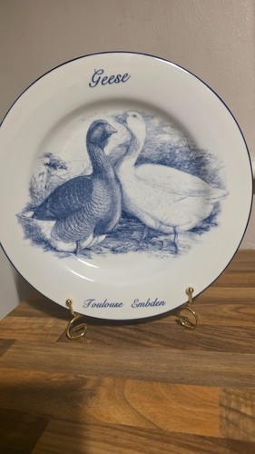 Vintage norfolk china geese - norfolk, "geese"
