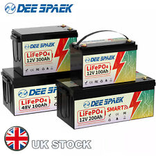 12V 24V 36/48V 100Ah 200Ah