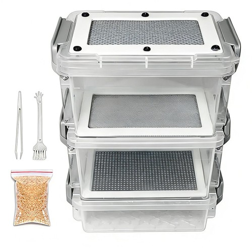 Mealworm breeding kit for - mealworm,