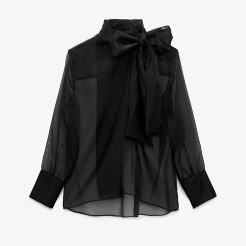 Bnwot zara sheer black organza - bnwot,