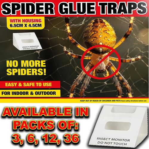 Spider killer traps - killer,