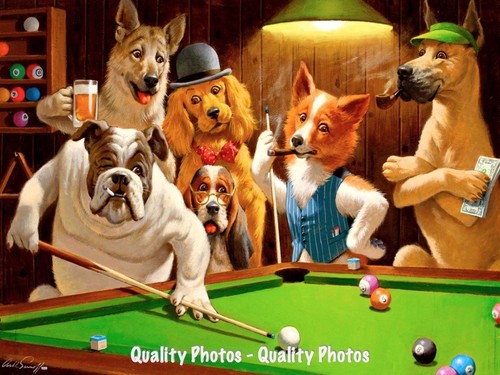 Bulldog pool hustler - hustler, 8.5x11"