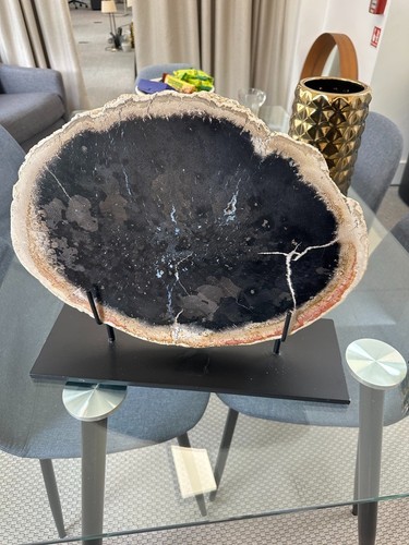 Large 49cm petrified - large,