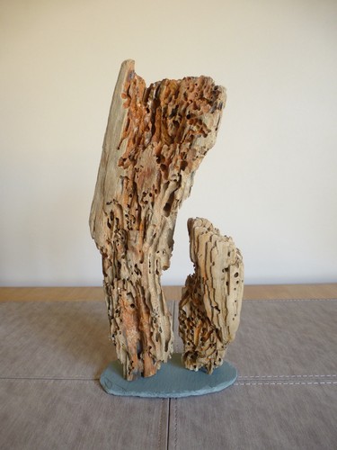 Driftwood sculpture 30cm high - driftwood,