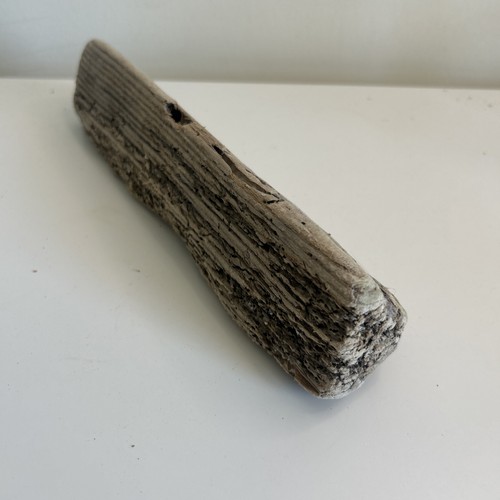 Unique driftwood piece - 1,