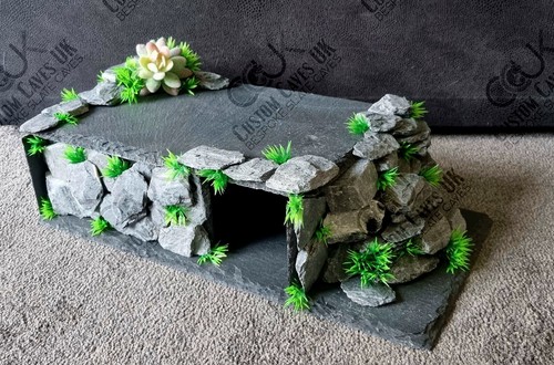 Leopard gecko slate - slate, hide