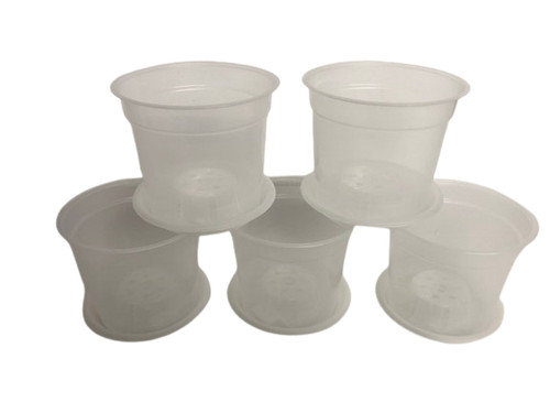 15cm clear orchid pots - orchid,