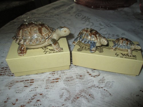 Turtles wade - 3,