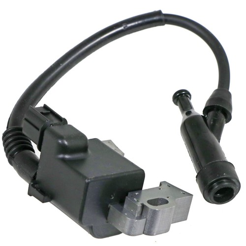 Ignition coil for - ignition,