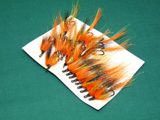 20 new in packet  Cascade +