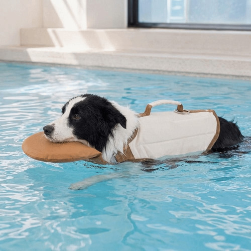 Adjustable pet swimming suit - pet,