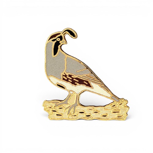 Gambel quail lapel pin - gambel’s,