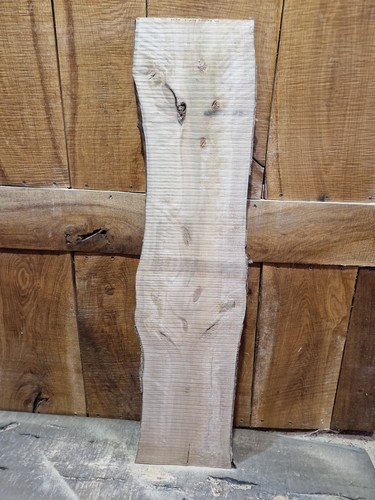 Live edge holly slab - live,