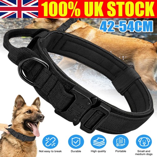 Heavy duty dog collar - heavy,