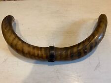 Steer, Cow, Bull Horns Old