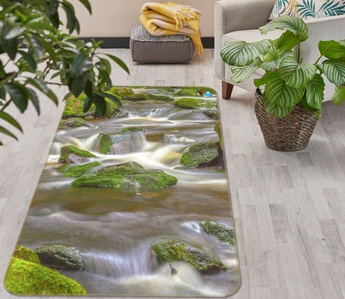 Moss stone river - river, na12396