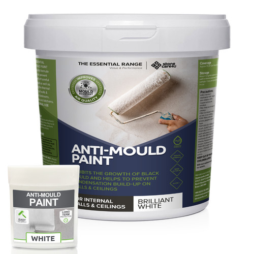 Anti mould paint - anti,