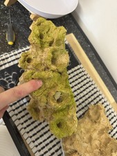 2 x Tunze Large Magnetic Frag