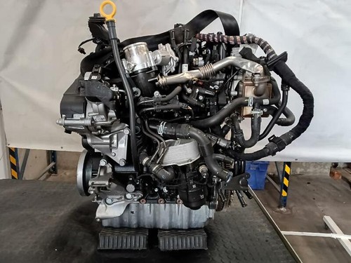 Dna 1796888 full engine - dna,