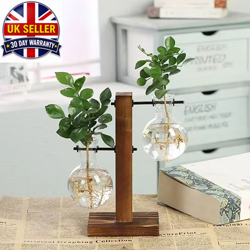 Vintage hydroponic terrarium - vintage,