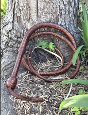 INDIANA JONES - F&G CUSTOMS