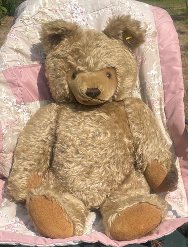 Large old steiff bear - old,