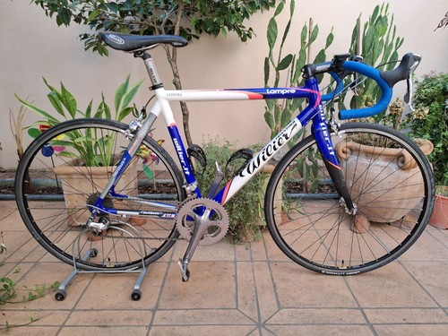Wilier triestina team issue - team,
