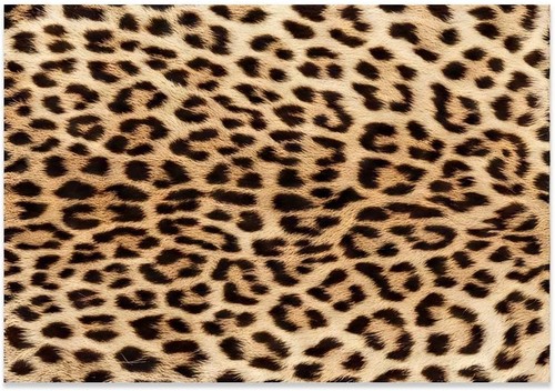 Leopard print carpet - leopard-print, carpet,premium