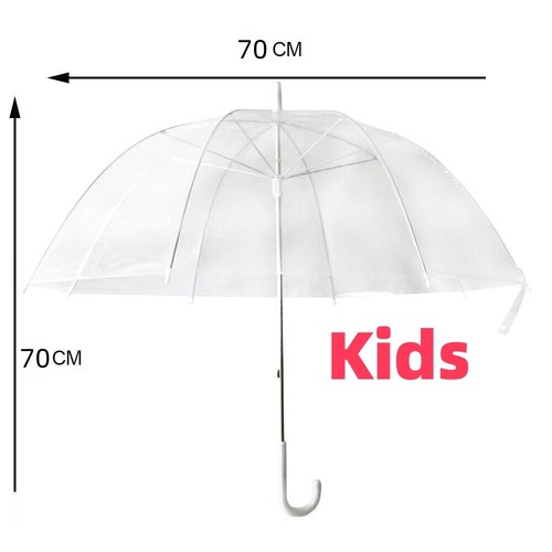 Large clear see through dome - clear,