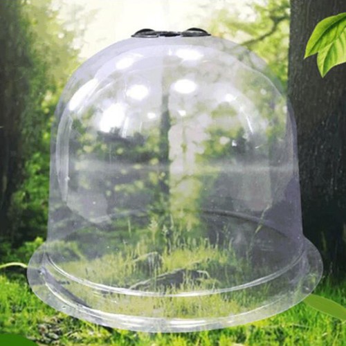 Small reusable plastic - small,