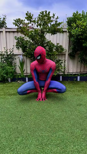 Spider hero cosplay suit - spider,