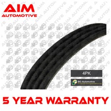 V Ribbed Drive Belt Aim Fits