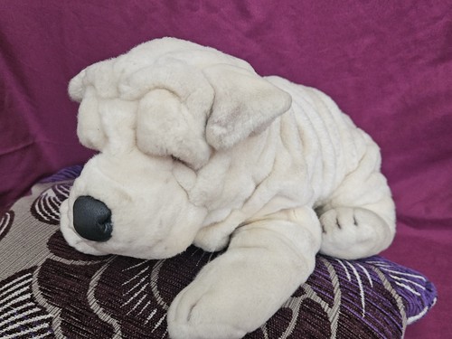 Shar pei puppy dog rare - shar-pei,