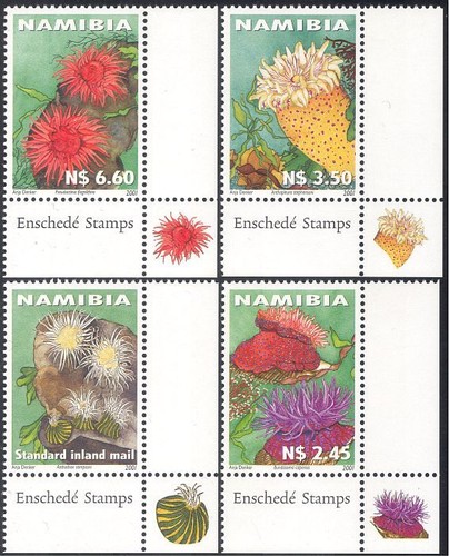 Namibia 2001 sea - namibia,