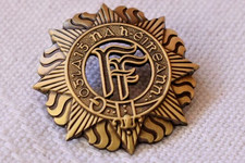 Brass Irish Army Cap badge, Irish Defence Forces