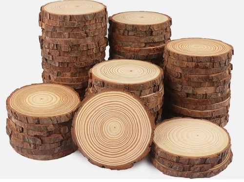 100 wooden slices wood for - slices,