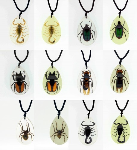 Real bugs large resin - bugs, in