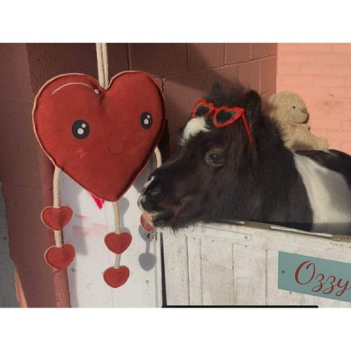 Ruggles horse toy hanging - horse, toy,