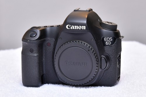 Canon body only - canon,