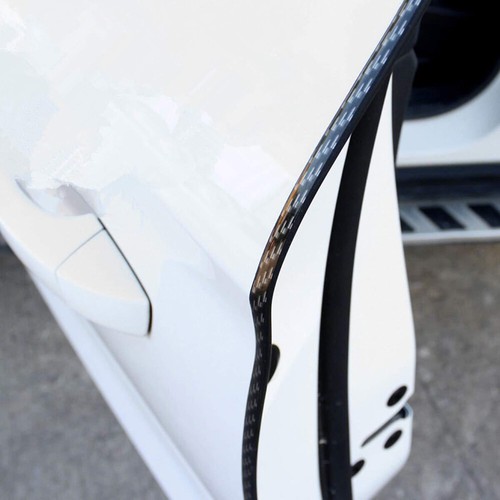 16ft carbon fiber car - carbon,