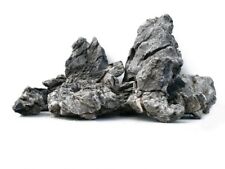 Aquarium Seiryu Rock Fish Tank