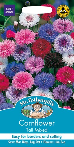 Cornflower seeds tall mixed - cornflower, 'tall