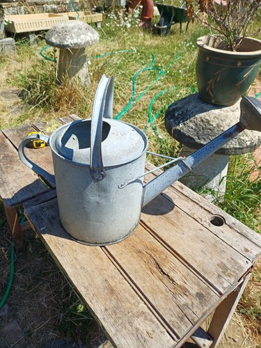 Lovely vintage gallon - vintage,