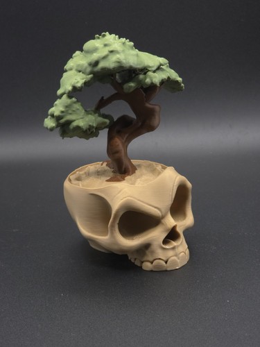 Unique skull bonsai tree - skull,