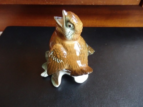 Karl ens baby - baby, bird